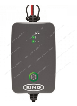 Интеллектуальное зарядное устройство RING RESC704 4A Smart Battery Charger